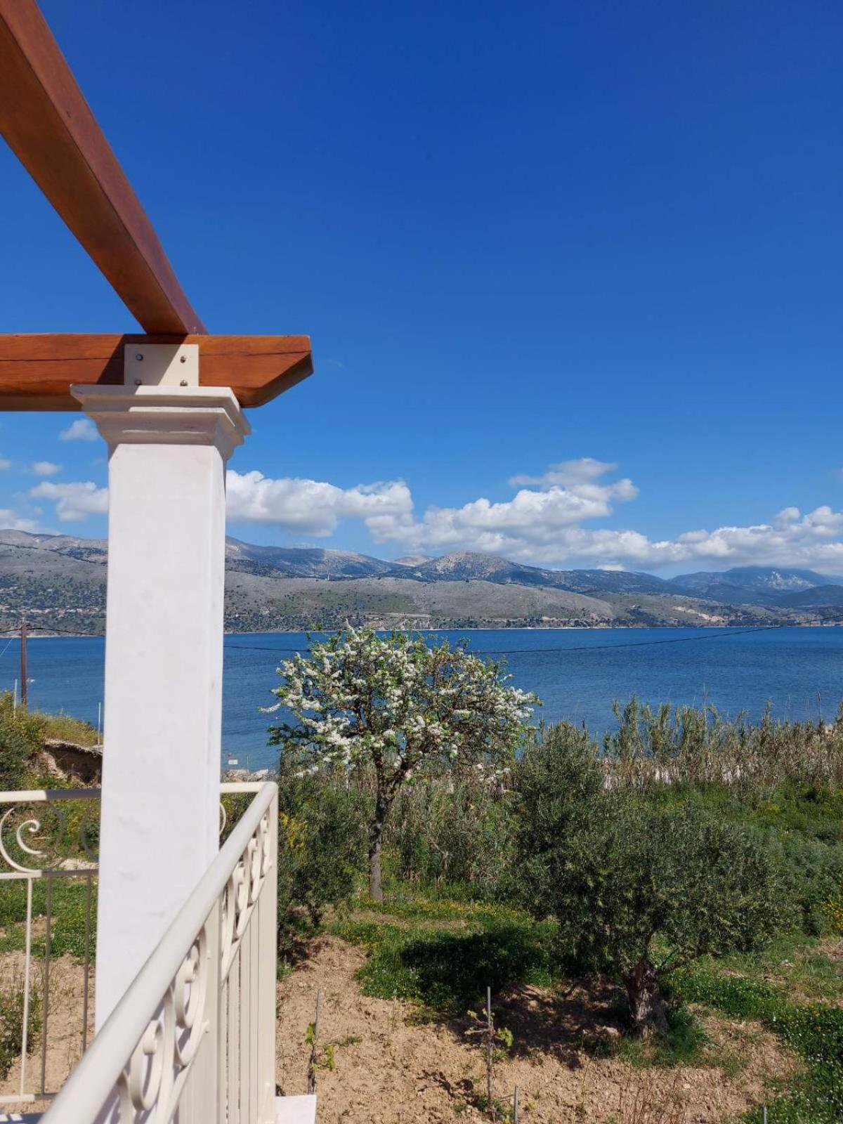 Apollonides Seafront Villa1 Aoede Lixouri Exterior foto